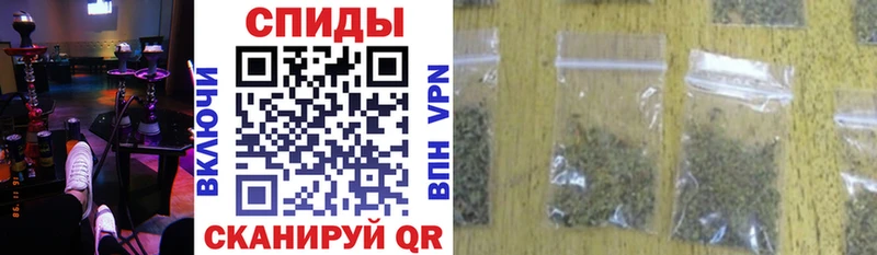Бутират буратино  где можно купить   Рославль 