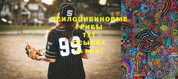 сатива Пестово