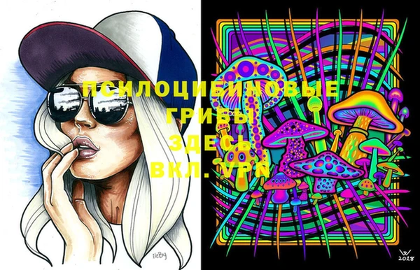 скорость Пересвет