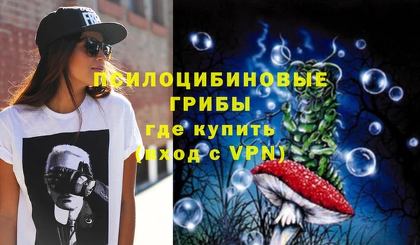 скорость Пересвет
