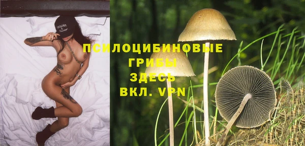 скорость Пересвет