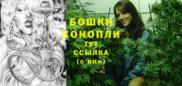 гашик Переславль-Залесский