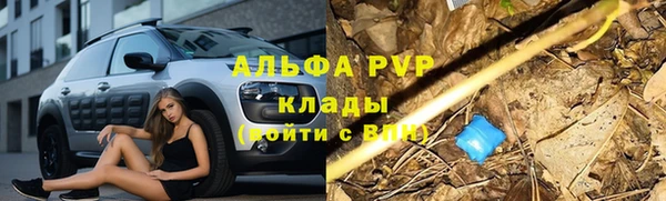 гашик Переславль-Залесский