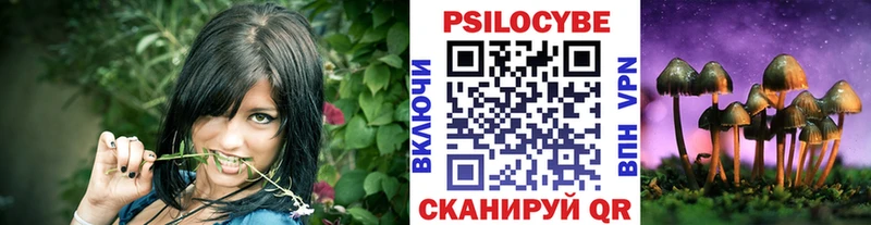 Галлюциногенные грибы Cubensis Рославль